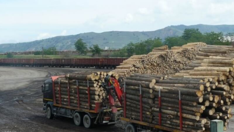 Schweighofer Holzindustrie