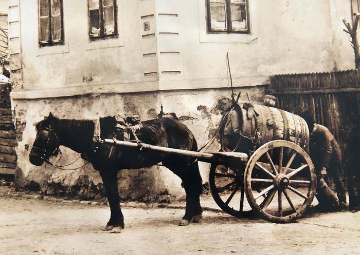 sacagiu colectie