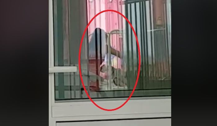 asistenta bebelus bruscat