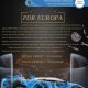Cursuri PDR (tinichigerie fără revopsire)