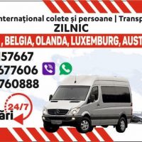Imaginea miniatură a imaginii anunțului