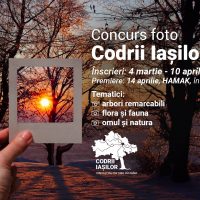 Imaginea miniatură a imaginii anunțului