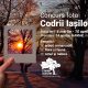 Concurs foto "Codrii Iașilor"
