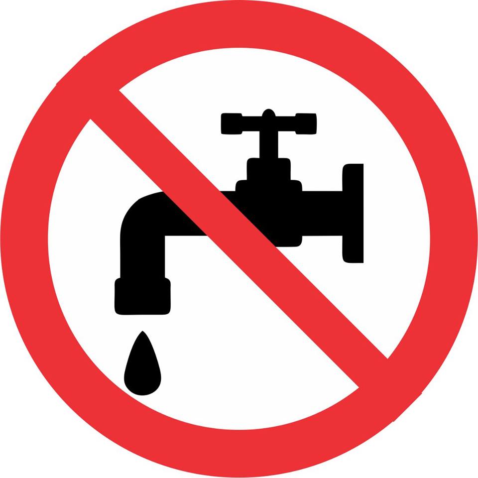 57420716_1945675295536944_2734772476713107456_n