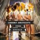 CONTRACTE JOBURI DANSATOARE STRAINATATE