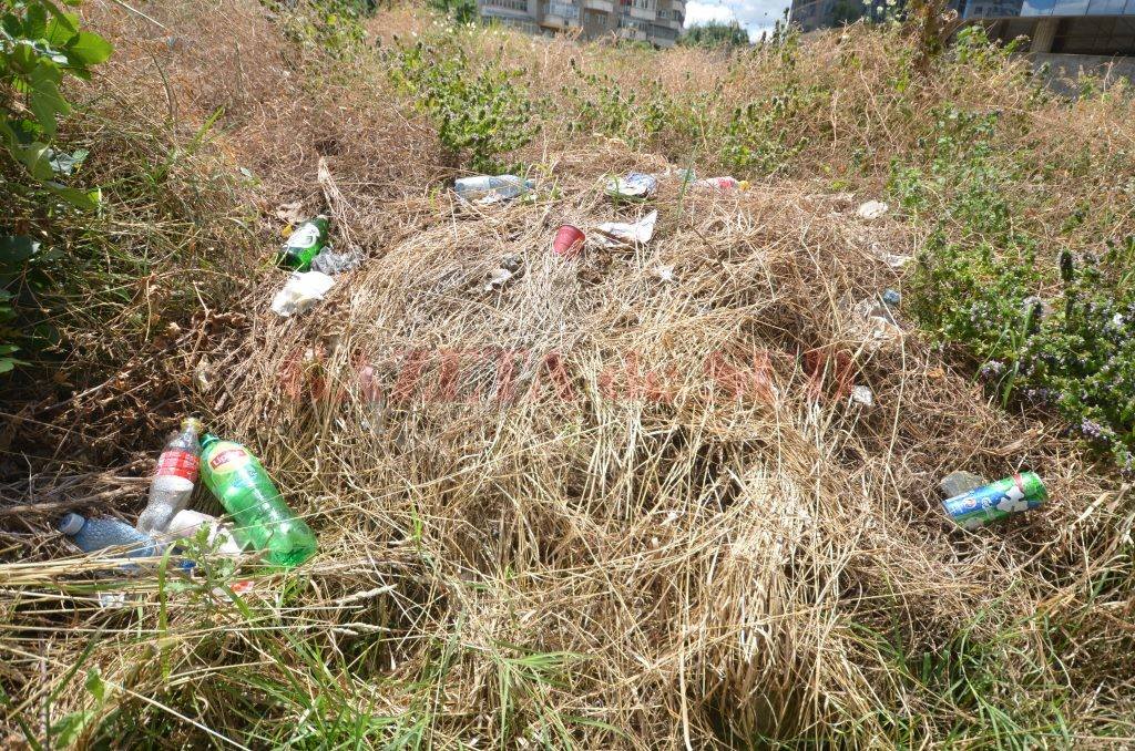 58761568_2454736124585681_6072769644110807040_o