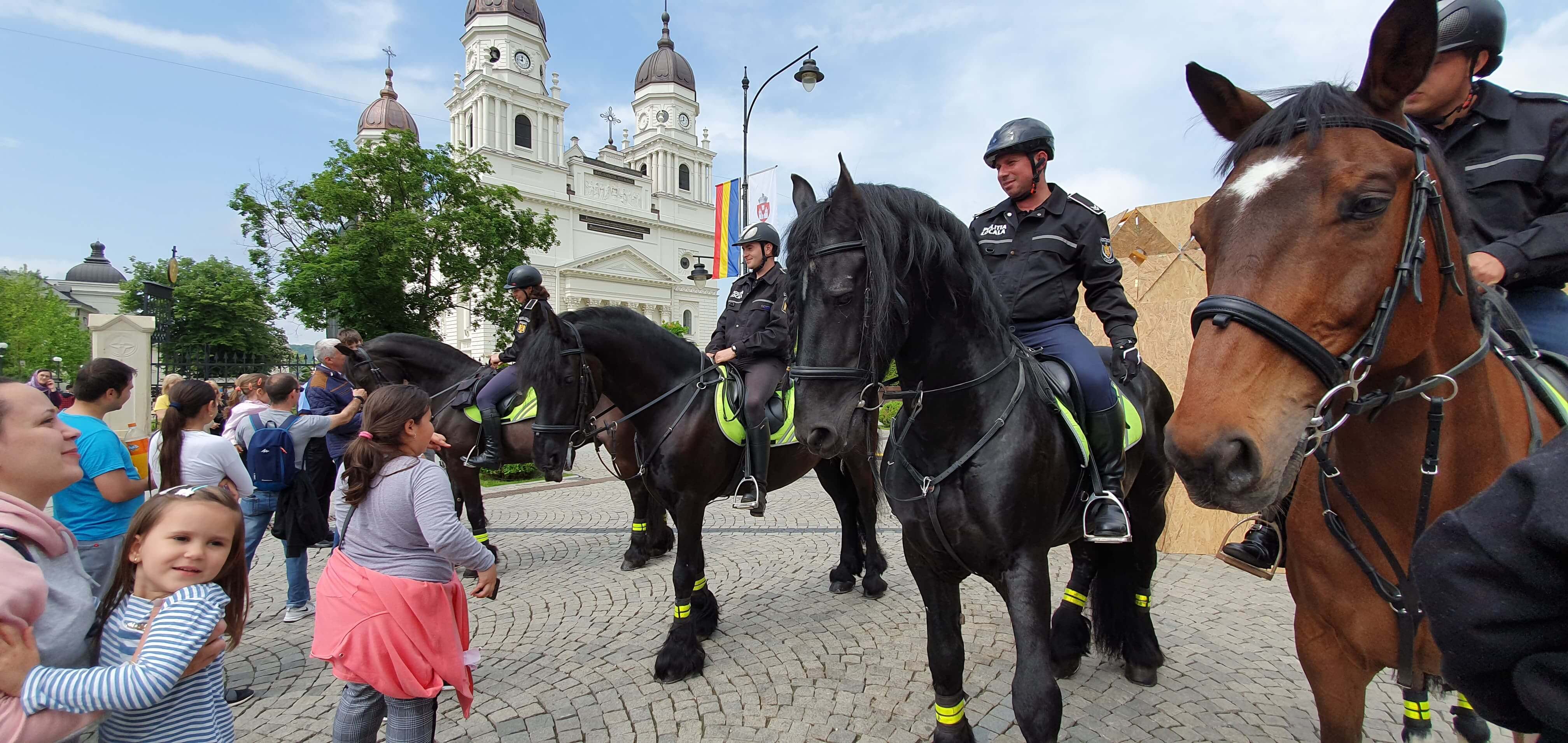 60349358_2249885231735292_4311395502957527040_n