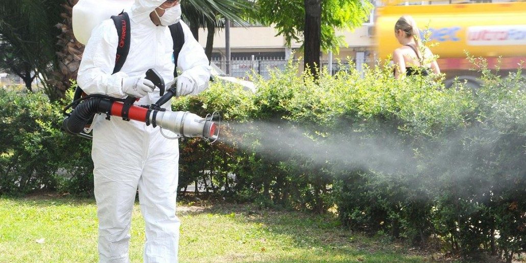 administrare-imobile-dezinsectii-si-deratizari-servicii-deratizari-1030x515