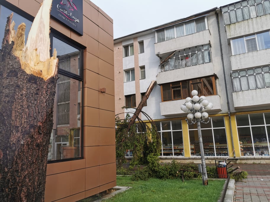 copac doborat de vant furtuna hotel