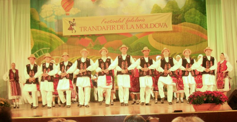trandafir de la moldova