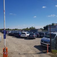Imaginea miniatură a imaginii anunțului