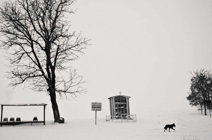 fotografie-gheorghita-epureanu-850x560