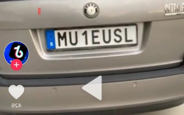 muie-usl-placuta-suedeza-640x400