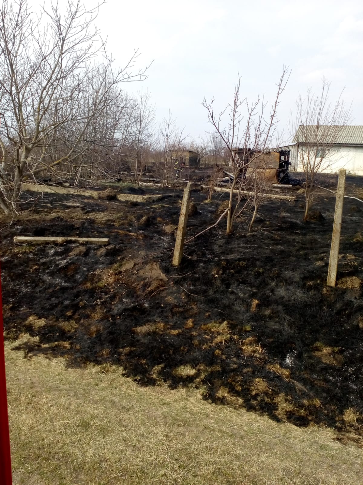 WhatsApp Image 2022-03-31 at 10.54.57