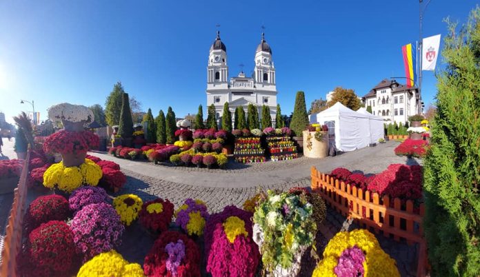 311638256_638242021247975_8441771626921908327_n