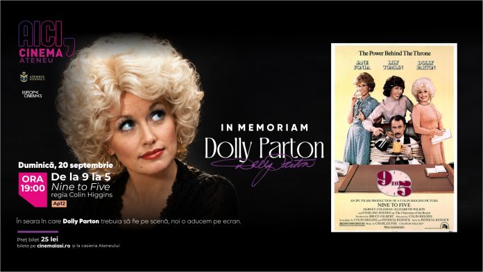 Dolly_carton